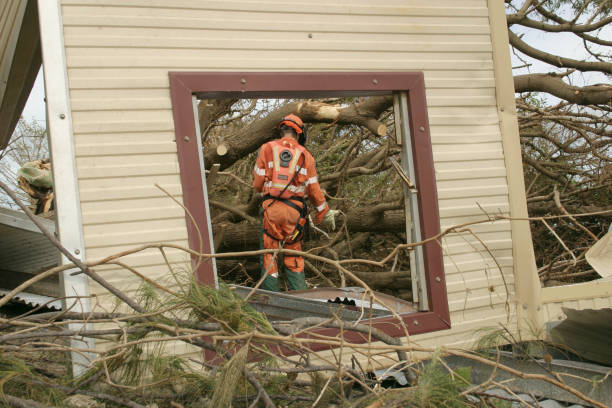  Beesleys Point, NJ Tree Removal Pros