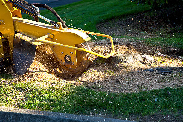 Landscape Design and Installation in Beesleys Point, NJ